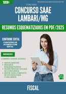 Resumos Esquematizados para Concurso Fiscal Saae da Prefeitura Lambari Mg 2025 - Conteúdo de Acordo com Edital