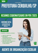 Resumos Esquematizados para Concurso Agente De Organizacao Escolar da Prefeitura Cerquilho Sp 2025 - Conteúdo de Acordo com Edital
