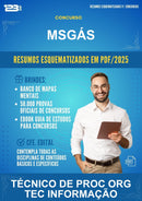 Resumos Esquematizados para o Concurso Msgás para Técnico de Proc Org Tec Informação