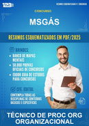 Resumos Esquematizados para o Concurso Msgás para Técnico de Proc Org Organizacional