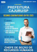 Resumos Esquematizados para o Concurso Prefeitura Cajuru/SP para Chefe de Seção de Recursos Humanos